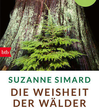 Werbung – Buchrezension – Die Weisheit der Wälder